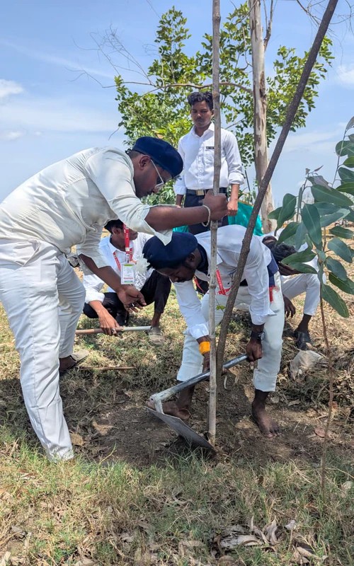 Tree Plantation Drive